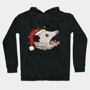 Do You Hear What I Hear, Funny Opossum Christmas Design Hoodie